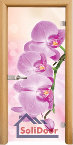 Стъклена интериорна врата Print G 13-3-Pink, каса Светъл дъб