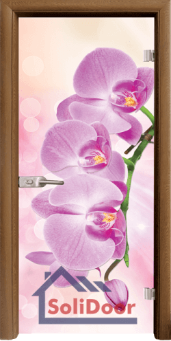 Стъклена интериорна врата Print G 13-3-Pink, каса Златен дъб