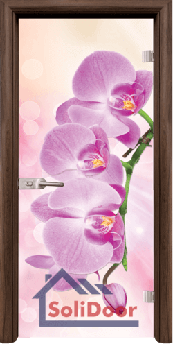 Стъклена интериорна врата Print G 13-3-Pink, каса Орех