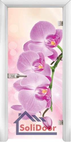 Стъклена интериорна врата Print G 13-3-Pink, каса Бяла
