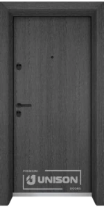 Входна врата Unison Optima, модел 210, цвят Сив кестен
