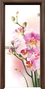 Стъклена врата Print G 13-2 каса Стандарт Орех