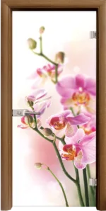 Стъклена врата Print G 13-2 каса Стандарт Златен дъб