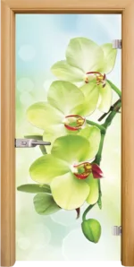 Стъклена врата Print G 13-3 Green каса Стандарт Светъл дъб