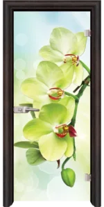 Стъклена врата Print G 13-3 Green каса Стандарт Венге