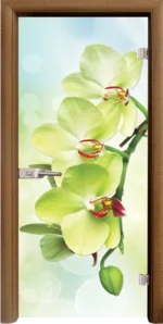Стъклена врата Print G 13-3 Green каса Стандарт Златен дъб