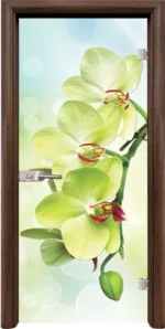 Стъклена врата Print G 13-3 Green каса Стандарт Орех