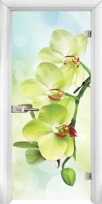 Стъклена врата Print G 13-3 Green каса Стандарт Бяла