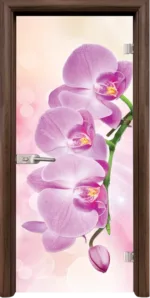 Стъклена врата Print G 13-3 Pink каса Стандарт Орех